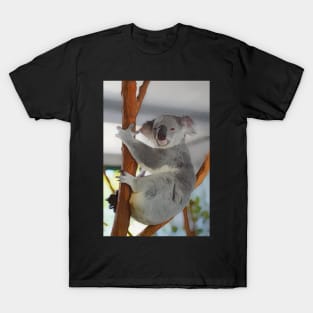 Australian Koala Bear Artwork T-Shirt